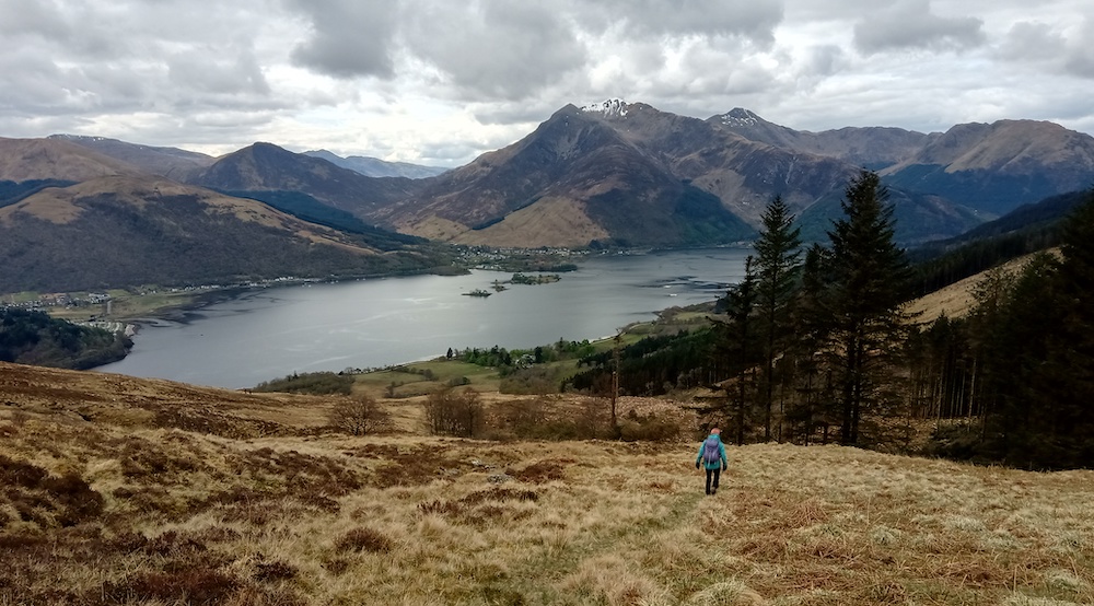 A person walks down a track towards trees with a loch and mountains in the distance.