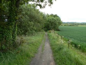 Balgonie Miners’ Path