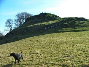 NO413200: view of Set Hill from the track west of it. This track was used to transport the stone from Nydie Quarry to Balmerino to build the Abbey MANY years ago. The stone was carried by horse drawn cart. © Norrie Adamson, Geograph