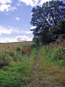 Balmerino Abbey Quarry Road