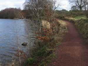 Banton Loch Path