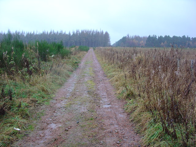 Black Isle Military Road