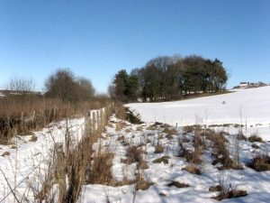 The route of the Bogie Line as it runs between the fences.   , © Tom Gray