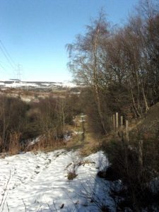 As it goes through a small wooded area.  , © Tom Gray