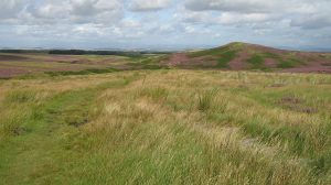 Bore Stane track. © Richard Webb, Geograpic