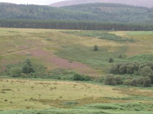 The track from Heatheryhaugh as it runs into plantation. © Graham Marr