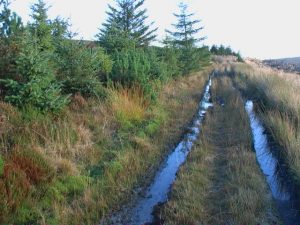 NO696856: looking SE along the Builg Road near The Builg in Fetteresso Forest (2009). © ian shiell, Geograph