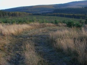 NO699851: bend in the Builg Road in Fetteresso Forest, not a feature of its original course as shown on older maps. There seems no good reason to veer from a straight course at this point so perhaps the bend appeared when the land was afforested. © ian shiell, Geograph