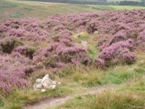A small cairn marks the junction from Heatheryhaugh. © Graham Marr