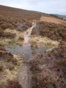 NO663878: looking SSE along the track as it comes out of woodland (2009). © David Lecore, Geograph
