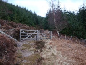 NO670873: looking ESE along the track as it enters woodland (2009). © David Lecore, Geograph