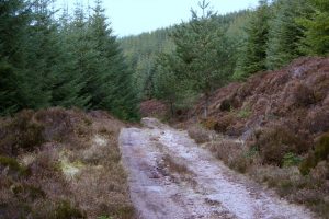 NO678869: looking NW along the track on the south-west slope of Little Kerloch (2009). © Richard Jones, Geograph