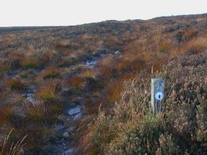 NO695859 looking NW past a Scottish Rights of Way Society markerpost on the Builg Road in Fetteresso Forest (2009). It's easy nowadays to forget the work earlier generations did to keep landowners honest and to preserve our freedoms. © ian shiell, Geograph
