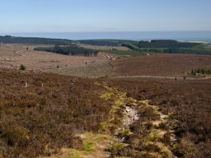 NO695859: the Builg path, viewed to the east of Tipperweir Hill (2012). This is an ancient right of way from Feughside to Paldy Fair, originally used as a drove road. © William Starkey, Geograph