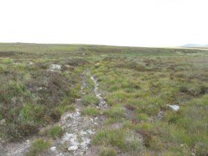 The Rumsdale section from NC 969 412 towards the east. © David Glass