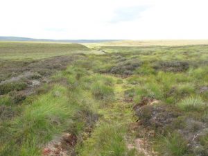 The Rumsdale section from NC 971 412 towards the west. © David Glass