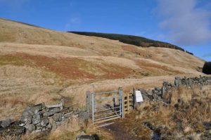 NN964004 looking north. There are quite a few gates to negotiate between Dollar and Glendevon. This one is on the boundary of the forestry plantation on Hillfoot Hill (2015). © Robert Struthers, Geograph