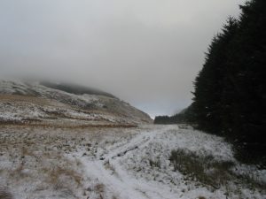 NN964005 looking NNE along the track leading to Glenquey (2009). © Robert Struthers, Geograph