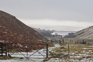 NN973018 looking NNE along the track in Glen Quey. It was formerly used as a drove road to transport cattle to market in Falkirk. Now it is a popular recreational route between Dollar and Glen Devon (2011). © William Starkey, Geograph