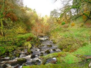 NS610798: Lady's Linn. An autumn view up Campsie Glen. © Robert Murray, Geograph