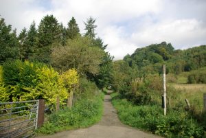 NS611795: looking noth along the beginning of the Campsie Glen right of way. © Leslie Barrie, Geograph