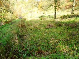 NS610797: Campsie Glen. The (almost) dried out hollow of a pond associated with a bleach works on this site in the nineteenth century. © Robert Murray, Geograph