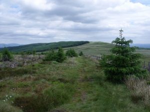 Campsie Ridge Route
