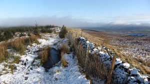 NS730813: the OS have got into a bit of a muddle here. Recently published maps have omitted lost paths up from Kilsyth, but this very much in existence path to Tomtain has also been taken off the map. It is obviously still there (January 2012). © Richard Webb, Geograph