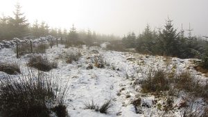 NS727813: path up Tomtain looking west. The path runs mainly on the forest edge, but here it passes through a strip of woodland which runs down to the Takmadoon Road. © Richard Webb, Geograph
