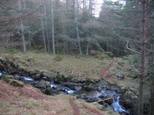 Deep in the forest, the Capel Mounth path crosses the Capel Burn.
