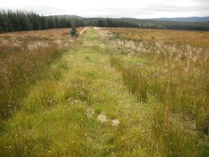 Carter Route (Carterhouse Farm to Carter Fell)