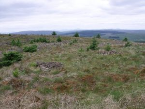 NS 717  814: Chapmen's Graves. According to the OS Name Book (1863), they date to c.1750. An inscribed stone dating from 1836 lies in the dyke nearby. © BJ Smur, Geograph