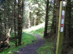 NS 714 827: an interesting looking wee path somewhat different from the utterly boring logging tracks but alas, walkers are not allowed. Blessed are the cyclists. © BJ Smur, Geograph