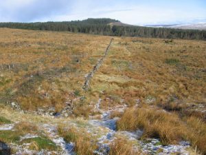 NS728815: line of an OS marked path to the Carron Valley - no path evident on the ground and a lot of fallen trees (2008). A core path is proposed on this line. © Chris Wimbush, Geograph