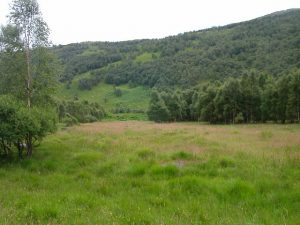 NN 20 60: the site of the World War 1 prisoner of war camp. Little remains other than concrete bases. © Alan Partridge, Geograph