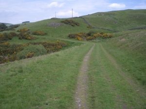 Clovenfords Turnpike