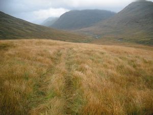After a day mostly spent slogging through deep vegetation on tussocky ground, this all terrain vehicle track was welcome. View down the glen beyond Inverlochlarig. © Richard Webb, Geograph