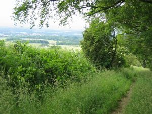 NO147247: looking west from the Coronation Road. This bridleway forms part of the route said to be taken by Scottish kings travelling from Falkland Palace to Scone to be crowned. © Rob Burke, Geograph