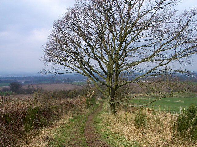 NO145247: looking north-west along the Coronation Road in March 2007. At this time of year while the trees are still bare it is possible to enjoy the views all around. This stretch of the historic road is a designated bridleway.