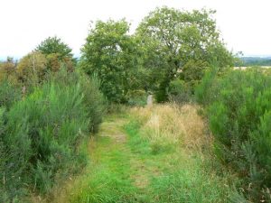 Coronation Road (Scone to Abernethy)
