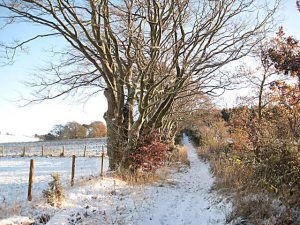 NO147246: looking ESE along the Coronation Road in the snow (November 2010). Fortunately the usually muddy ground is frozen solid beneath the snow. Snow came unusually early this year. © Lis Burke, Geograph