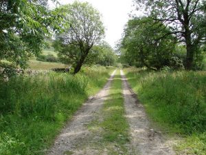 View SE along the Old Military Road as it skirts the lower slopes of Doon Hill on route via Lauchentyre and Black Burn Brae to Anwoth. © Chris Newman, Geograph