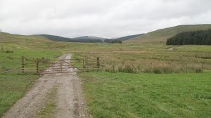 Looking up the Rae Burn. © Richard Webb , Geograph
