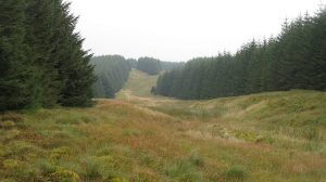 Craik Muir Roman Road
