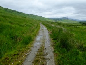 NN361234 Looking NNE along the West Highland Way in Glen Falloch. The Way joins the old military road to the west of the A82 (2016). © John Allan, Geograph