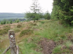 The path is not nearly so accessible south of the transmitter. © Graham Marr