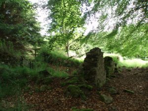 The ruins of Lady Leys just of the track south of the Cowie Burn. © Graham Marr