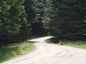 The bridge over the Cowie Burn where the old road is quite well surfaced. © Graham Marr
