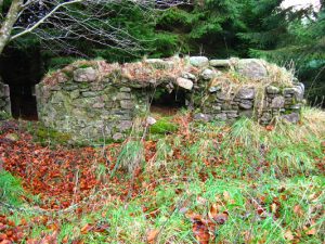 NO764871: Lady Leys House (2006). Ruin of a refreshment house on the Cryne Corse drovers track. Legend has it that the house once served as an exile for a dowager lady sent there by a young laird so he could bring home a younger mistress. © Alan Findlay, Geograph