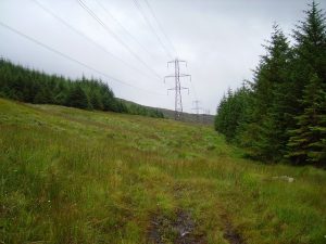 NN231250: the pass between Glen Orchy and the head of Loch Lomond was formerly famous as a drover's route. Now the Glen Orchy side is all but blocked by conifers, just the line of the Cruachan power lines provide a way through to the bleak moors beyond. © Richard Webb, Geograph